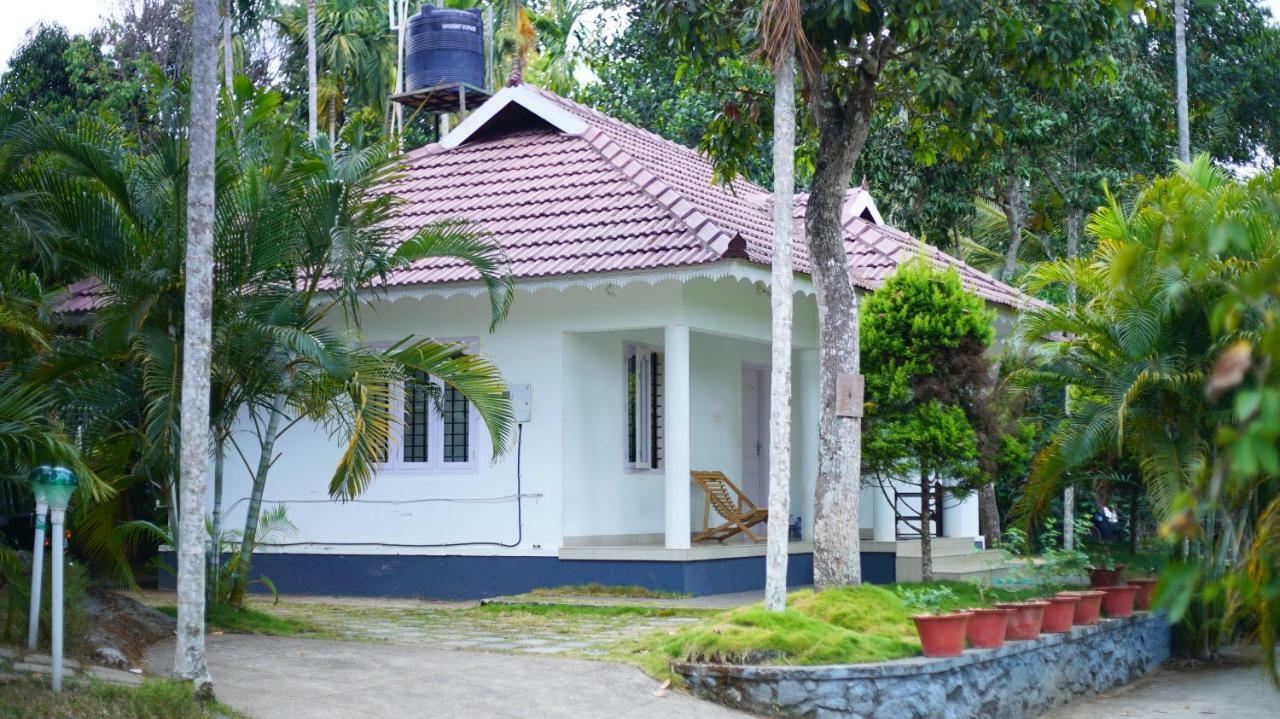 Kedara Village Sultan Bathery Exteriér fotografie