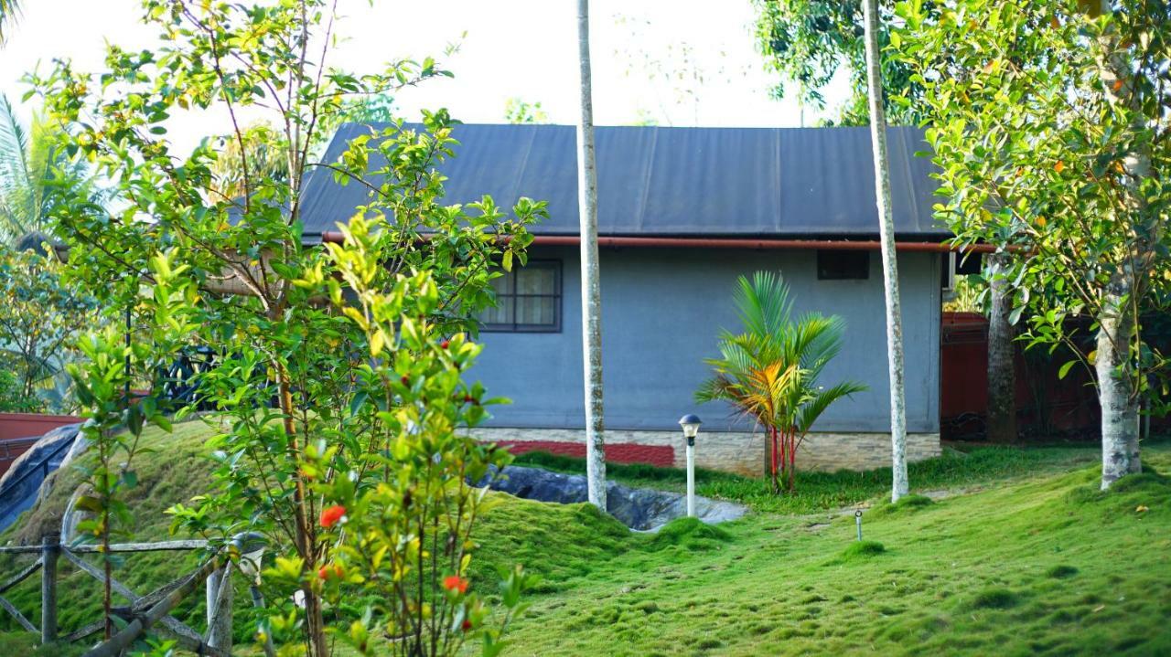 Kedara Village Sultan Bathery Exteriér fotografie